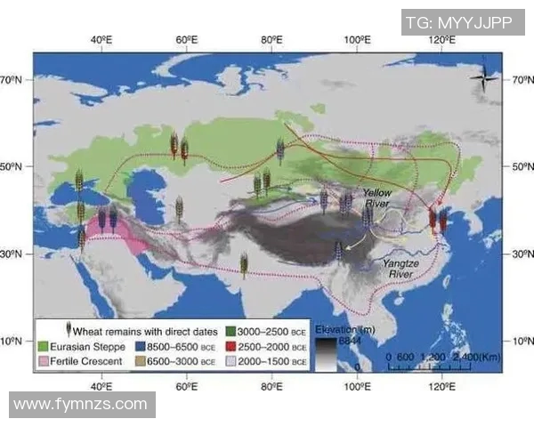 东亚与西亚文化交流的历史渊源与现代发展趋势探讨