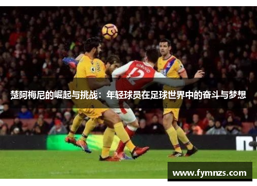 楚阿梅尼的崛起与挑战：年轻球员在足球世界中的奋斗与梦想